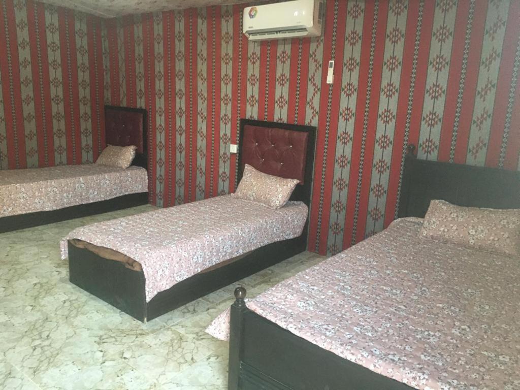 Oryx Camp Hotel Wadi Rum Luaran gambar