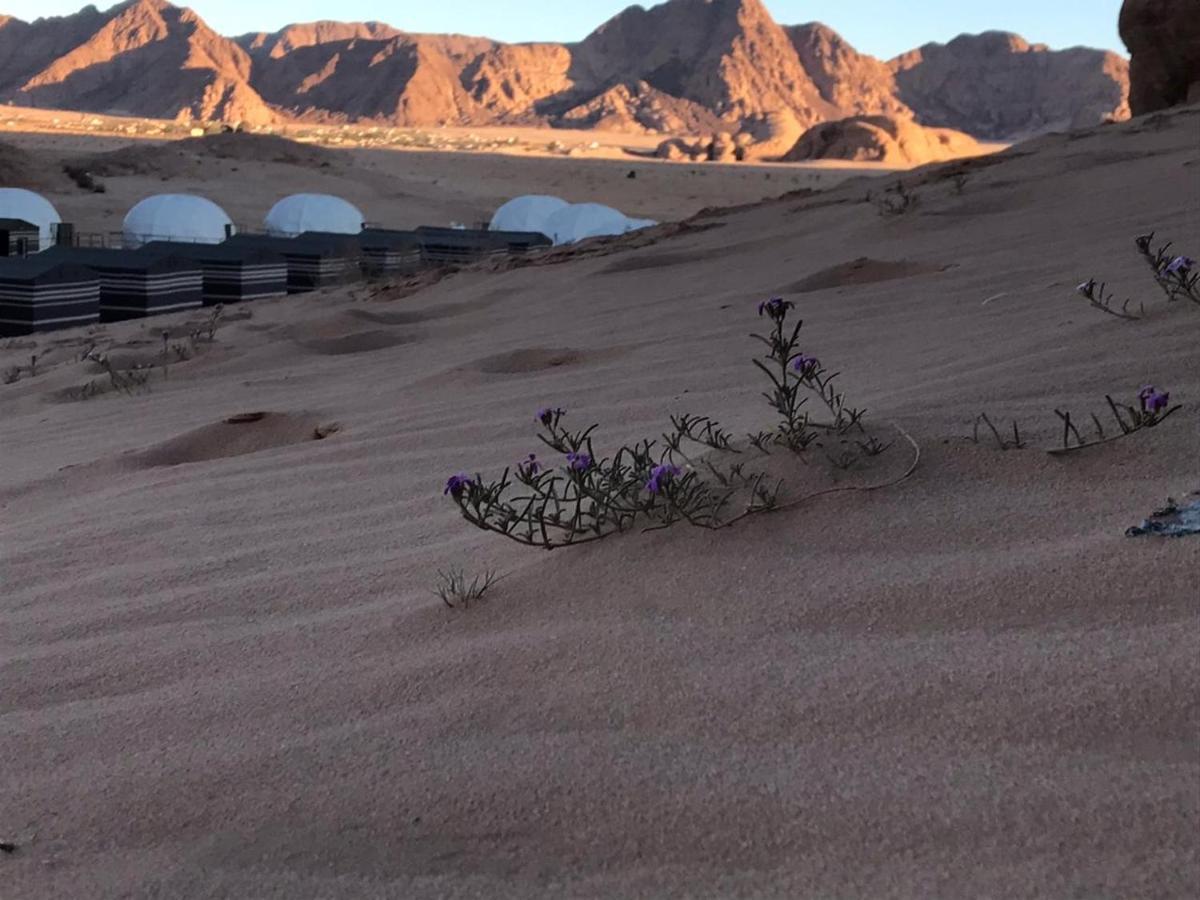 Oryx Camp Hotel Wadi Rum Luaran gambar